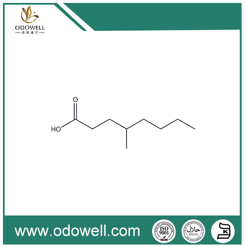 Acid 4-metiloctanoic