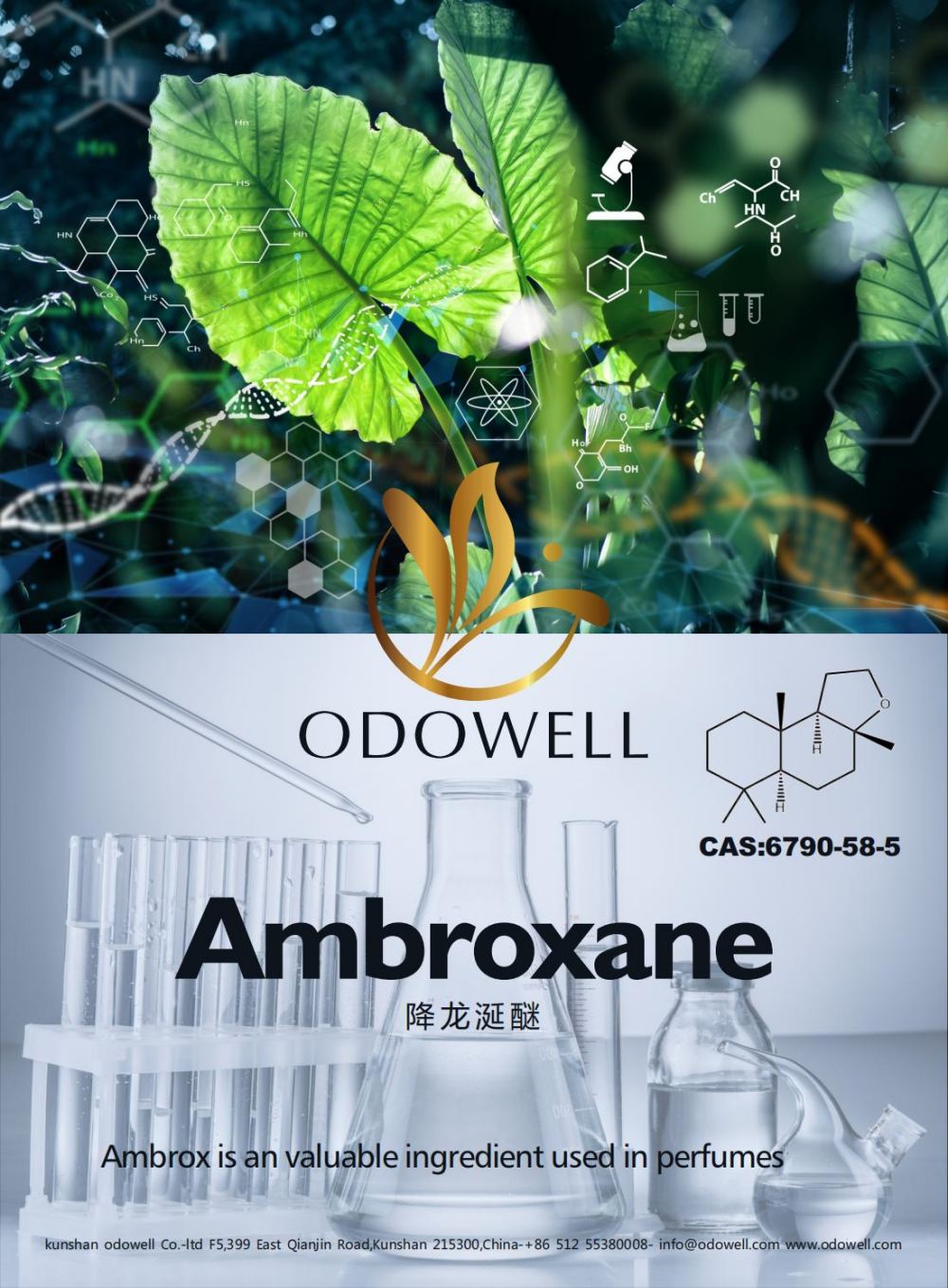 Odowell sărbătorește un an de succes pentru Ambroxane (Ambrox)