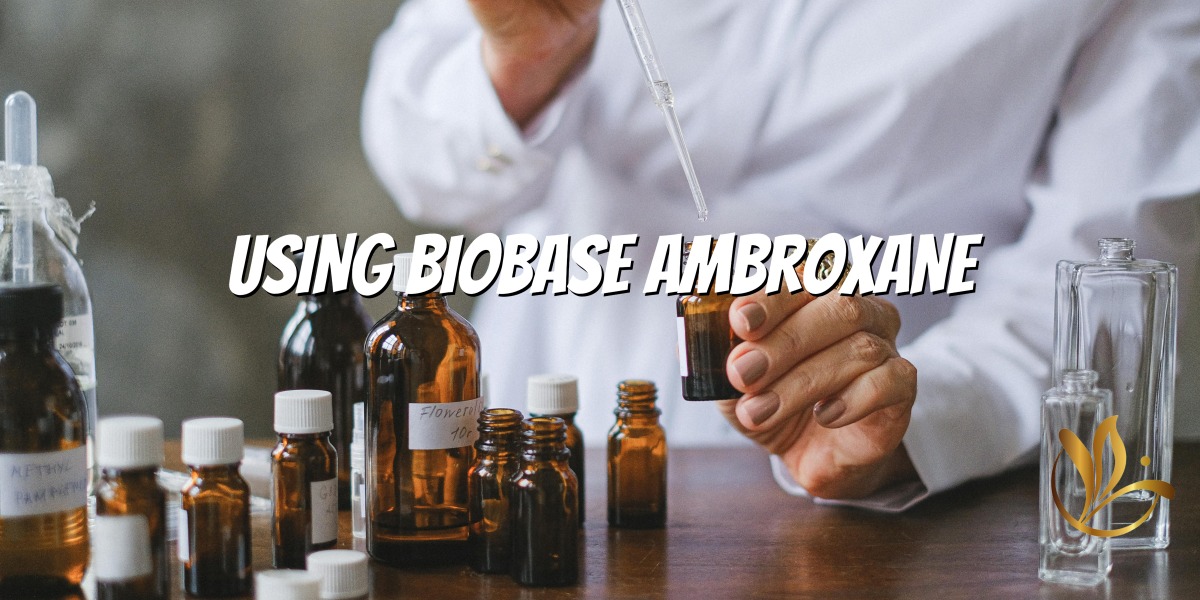 Mastering Ambrox - Ghidul unui parfum pentru creații atemporale