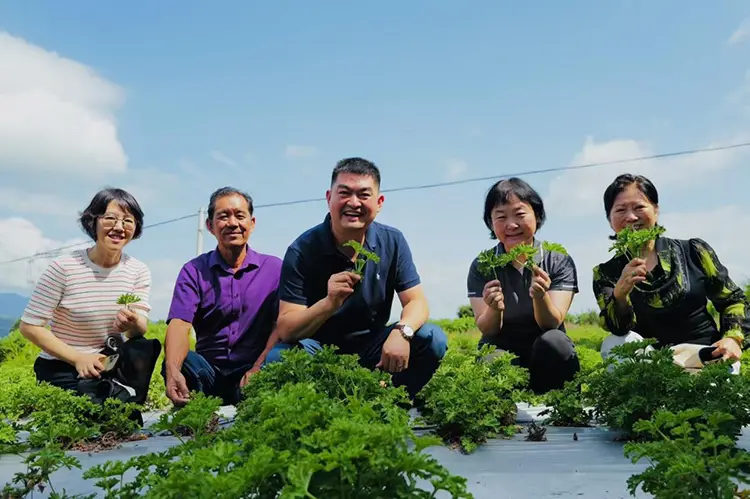 Turul de cercetare și studiu Yunnan din Odowell în august 2025