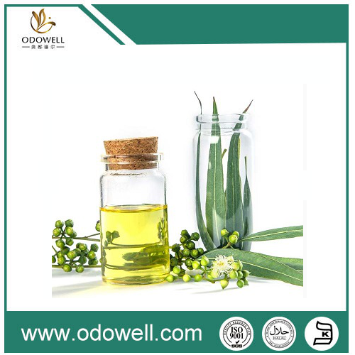 Introducerea uleiului nostru de eucalipt premium (Eucalyptus globulus) - natural, autentic și versatil