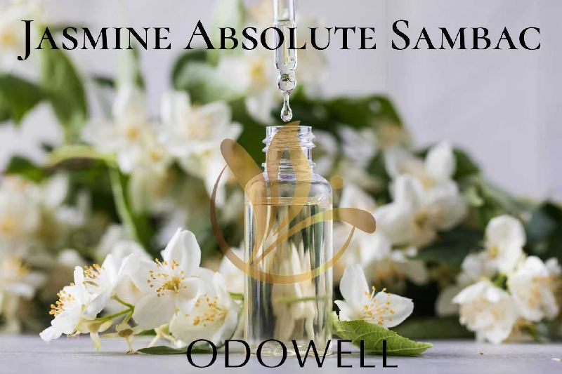ODOWELL lansează Jasmine Absolute Sambac — Un absolut natural de iasomie premium pentru parfum și frumusețe