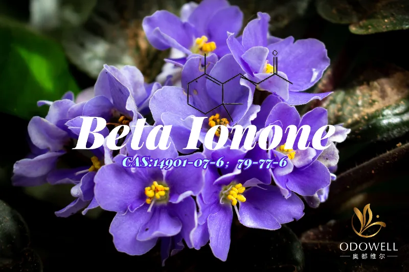 Beta Ionone – Cetona clasică violet-lemnoasă de la ODOWELL pentru adâncimea fină a parfumului