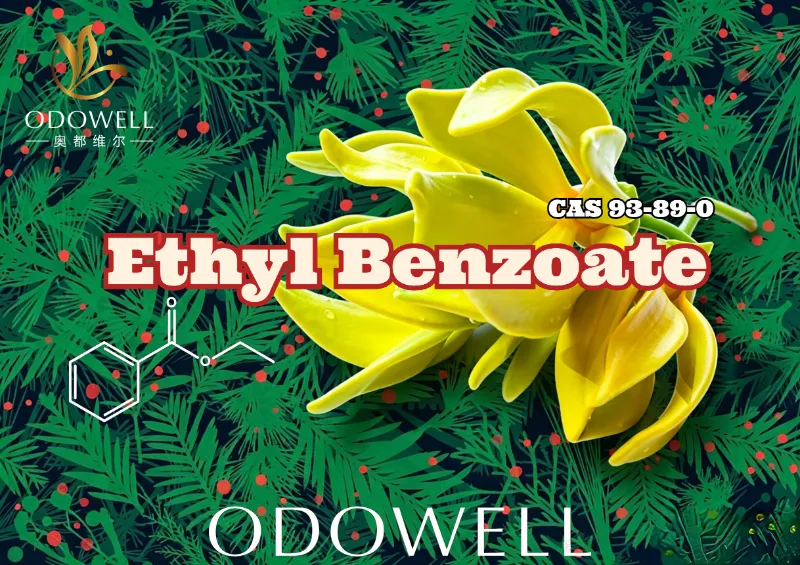 ODOWELL lansează benzoat de etil: ester cald de iarnă-ylang pentru eleganță florală și orientală