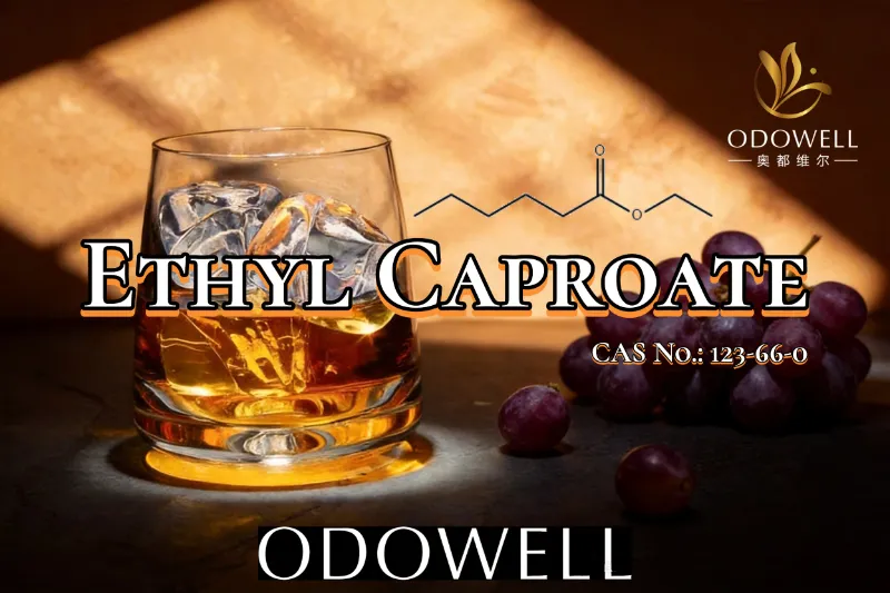 ODOWELL recomandă caproat de etil pentru aplicații cu arome de fructe și de vin