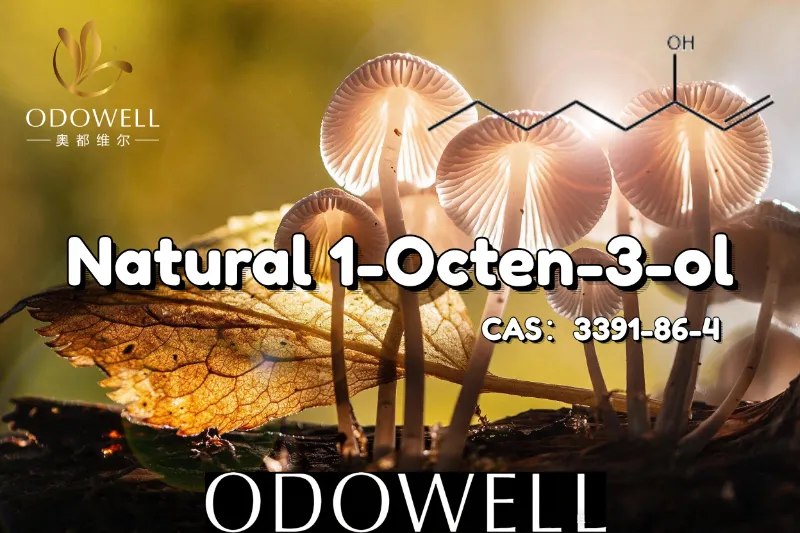 ODOWELL recomandă 1-Octen-3-ol natural pentru aplicații asemănătoare ciupercilor și cu aromă pământească