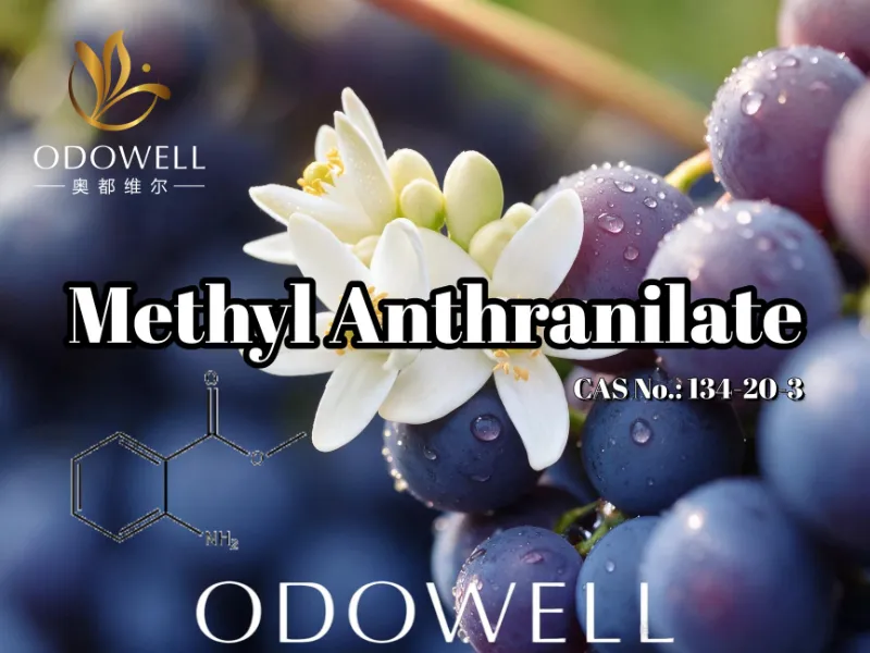 ODOWELL recomandă antranilatul de metil pentru aplicații de struguri, floare de portocal și neroli