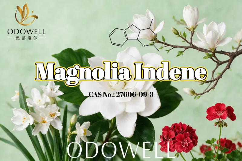 ODOWELL recomandă Magnolia Indene pentru aplicații proaspete de parfum floral-verde și citrice